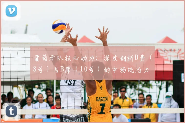 葡萄牙队核心动力:深度剖析B费(8号)与B席(10号)的中场统治力